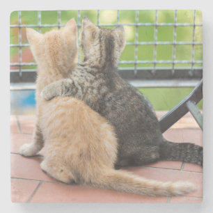 Getty Images Two Kittens on a Balcony Stone Coaster