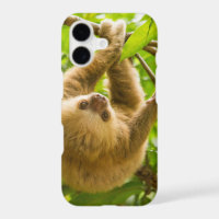 Getty Images | Upside Down Sloth