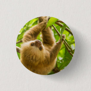 Getty Images Upside Down Sloth 3 Cm Round Badge