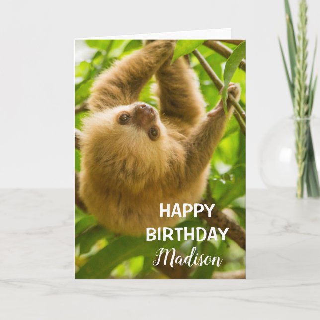 Getty Images | Upside Down Sloth Card (Front)