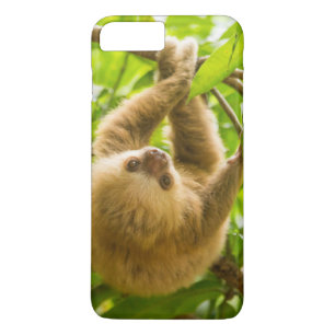 Getty Images Upside Down Sloth Case-Mate iPhone Case