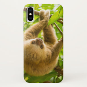 Getty Images   Upside Down Sloth iPhone X Case