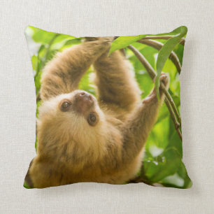 Getty Images   Upside Down Sloth Cushion