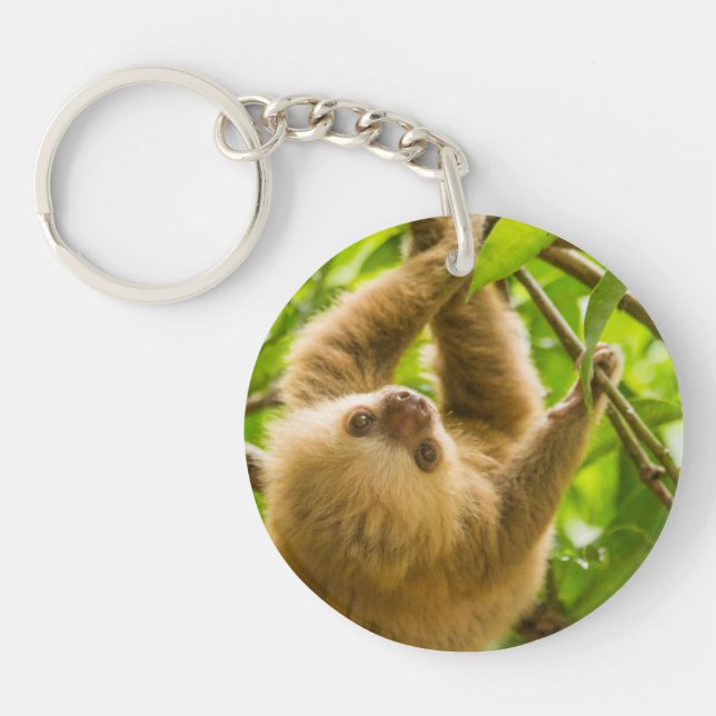 Getty Images | Upside Down Sloth Key Ring (Front)