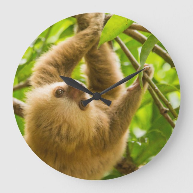 Getty Images | Upside Down Sloth Large Clock (Front)