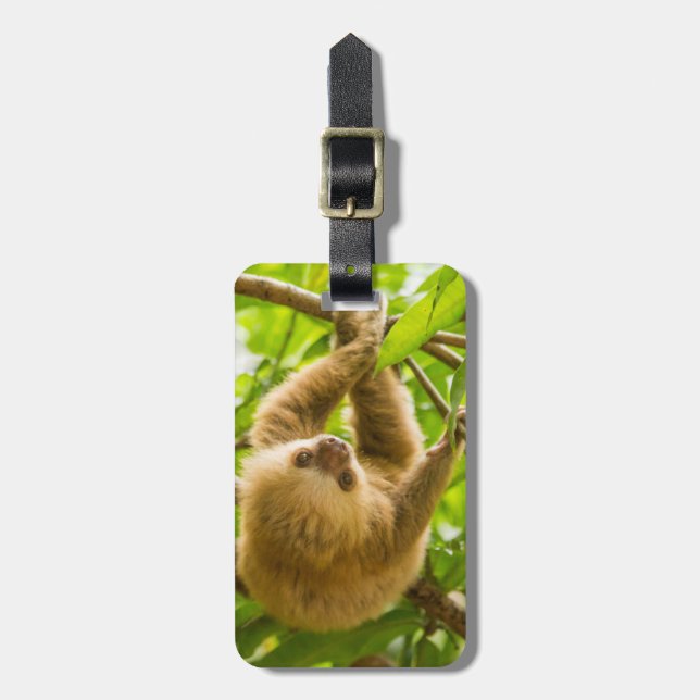 Getty Images | Upside Down Sloth Luggage Tag (Front Vertical)