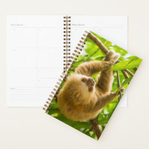 Getty Images Upside Down Sloth Planner