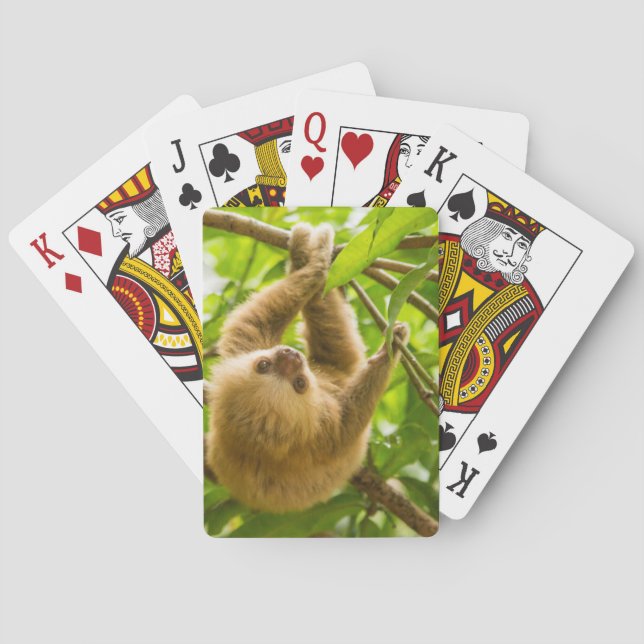Getty Images | Upside Down Sloth Playing Cards (Back)