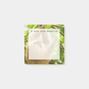 Getty Images Upside Down Sloth Post-it Notes