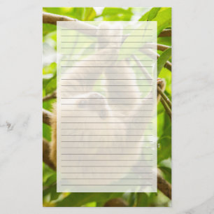 Getty Images   Upside Down Sloth Stationery