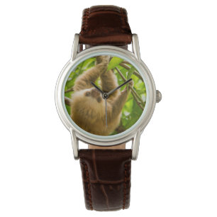 Getty Images Upside Down Sloth Watch