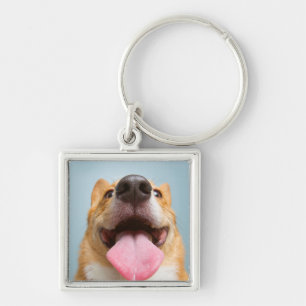 Getty Images   Very Happy Corgi Key Ring