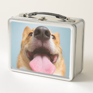 Getty Images   Very Happy Corgi Metal Lunch Box