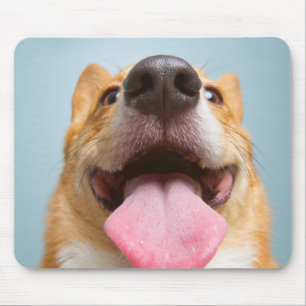 Getty Images   Very Happy Corgi Mouse Pad