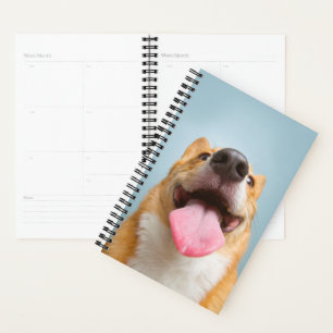Getty Images   Very Happy Corgi Planner