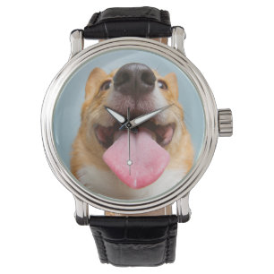 Getty Images   Very Happy Corgi Watch