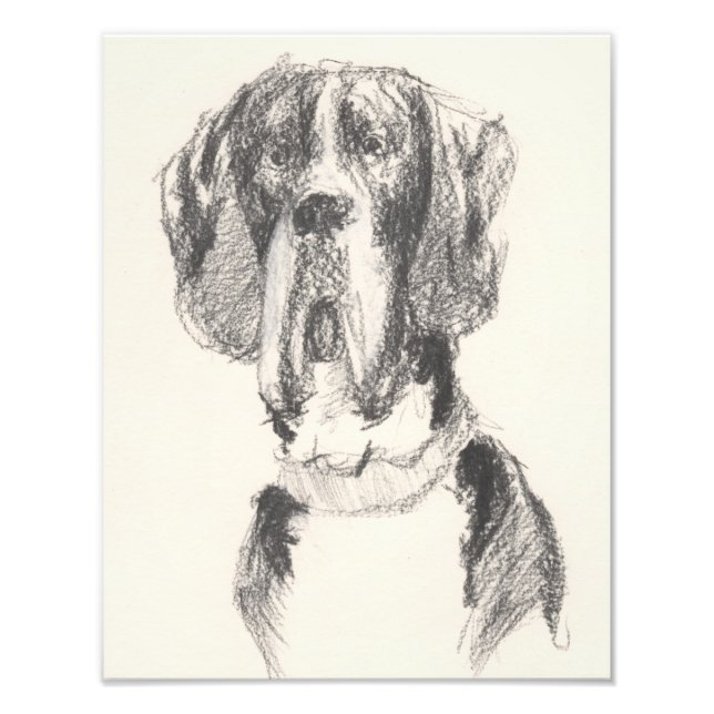 Gezeichnete Dogge Photo Print (Front)