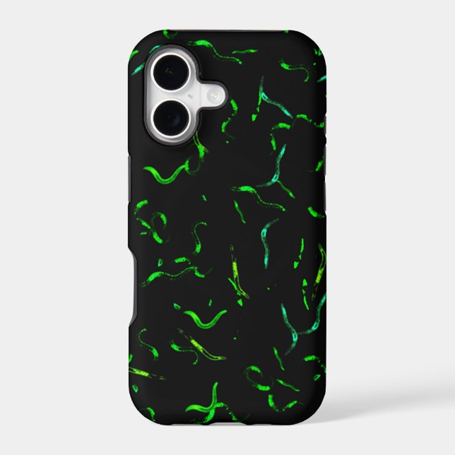 gfp worms (Back)