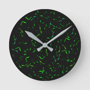 gfp worms round clock