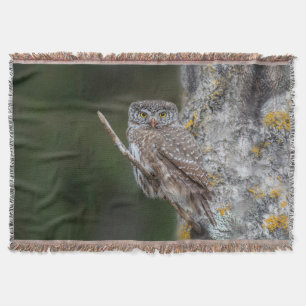 gh throw blanket