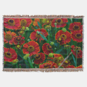gh throw blanket