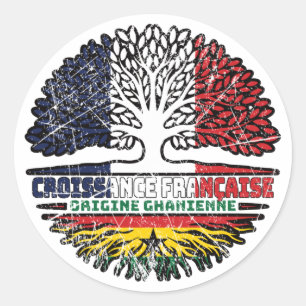 Ghana Ghanaian French France Tree Roots Flag Classic Round Sticker