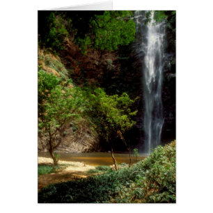 Ghana: Wli Falls, a.k.a. Agumatsa Falls (Volta