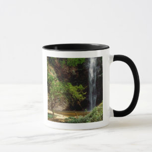 Ghana: Wli Falls, a.k.a. Agumatsa Falls (Volta Mug