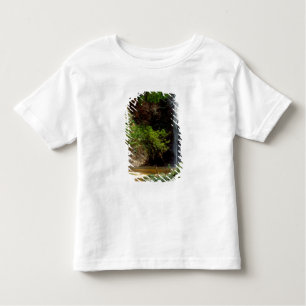 Ghana: Wli Falls, a.k.a. Agumatsa Falls (Volta Toddler T-Shirt