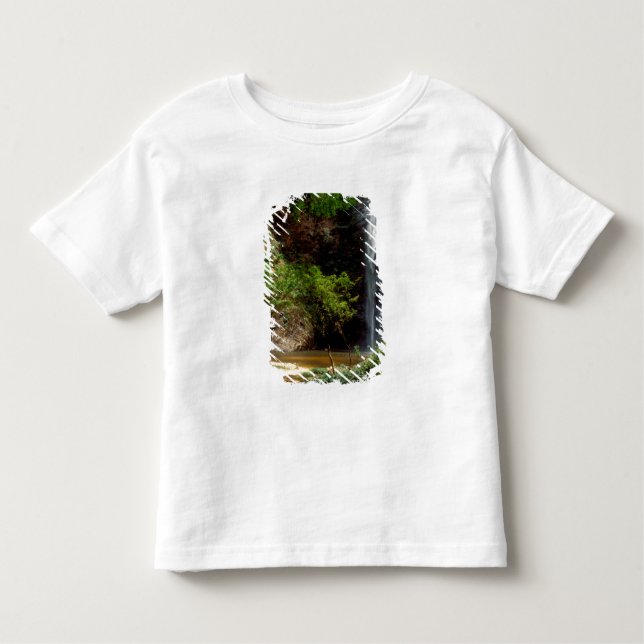Ghana: Wli Falls, a.k.a. Agumatsa Falls (Volta Toddler T-Shirt (Front)