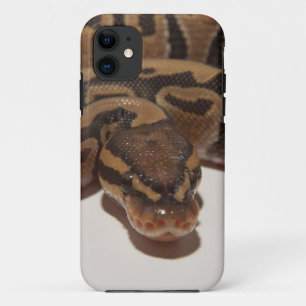 Ghost Ball Python Case-Mate iPhone Case