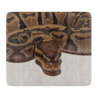 Ghost Ball Python Cutting Board