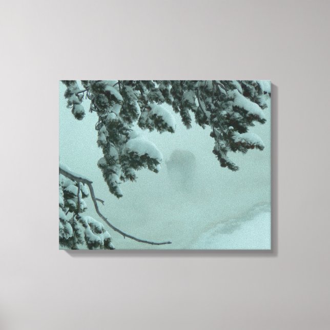 Ghost Buffalo Canvas Print (Front)