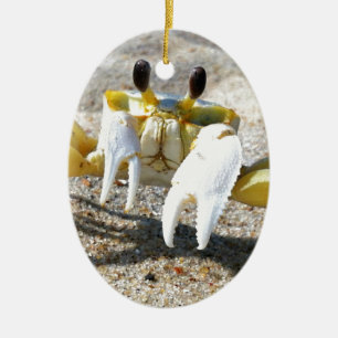 Ghost Crab Surprise Ceramic Tree Decoration