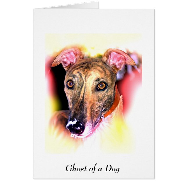 Ghost of a dog (Front)