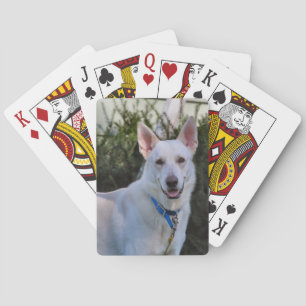 Ghost playing cards