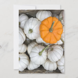 Ghost Pumpkins with a sneaky orange one Invitation