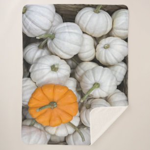 Ghost Pumpkins with a sneaky orange one Sherpa Blanket