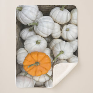 Ghost Pumpkins with a sneaky orange one Sherpa Blanket
