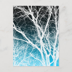 ghost tree postcard