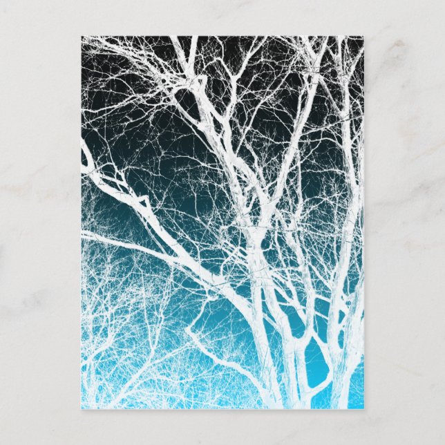ghost tree postcard (Front)