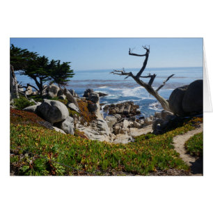 Ghost Tree – Scenic 17 Mile Drive #2 Card