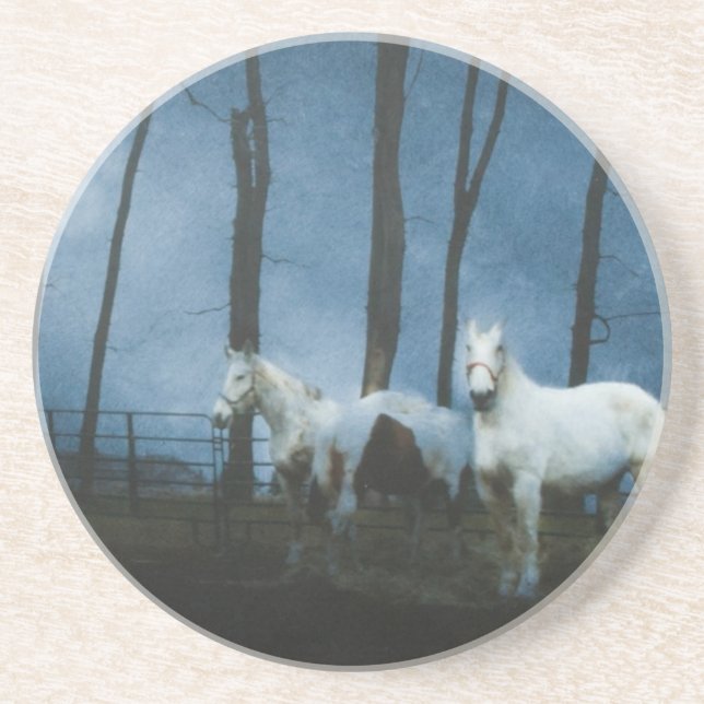 Ghostly Horses at Midnight Coaster (Front)