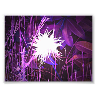 Ghostly Plant Purple Photo Print