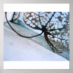 ghosts of spring poster