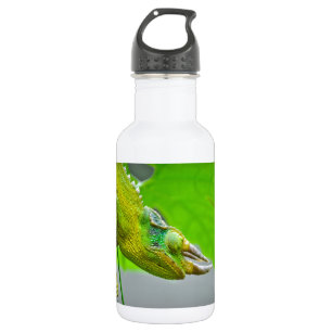 Giant 3 Horned Chameleon 532 Ml Water Bottle