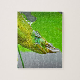 Giant 3 Horned Chameleon Jigsaw Puzzle