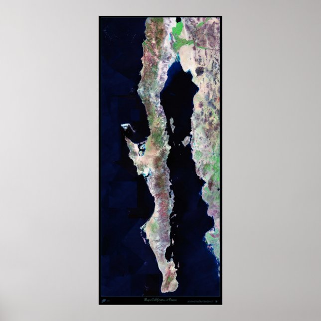 Giant 41"x96" Baja California satellite poster (Front)