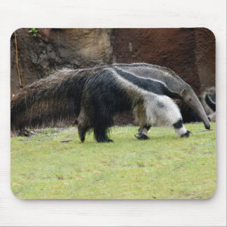 Giant Ant Eater8x10 Mouse Pad