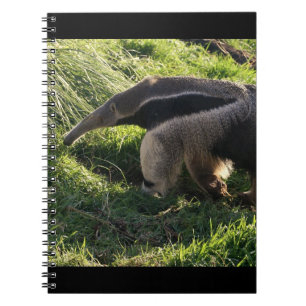 Giant Anteater Notebook